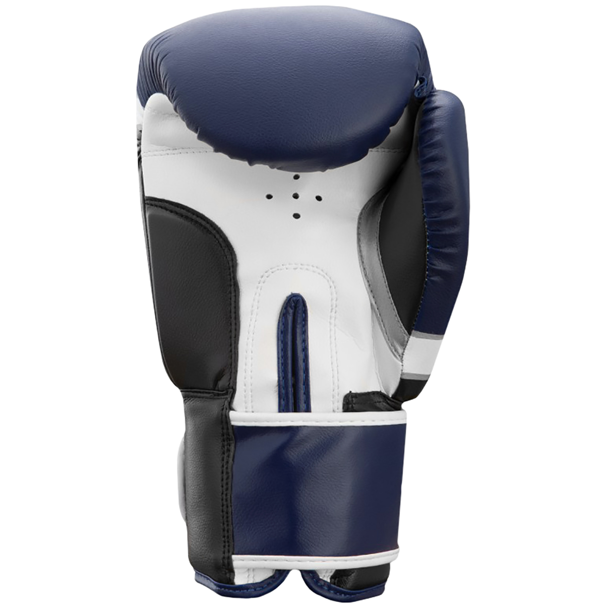 Title Boxing Classic Revive Hook and Loop Training Gloves eBay